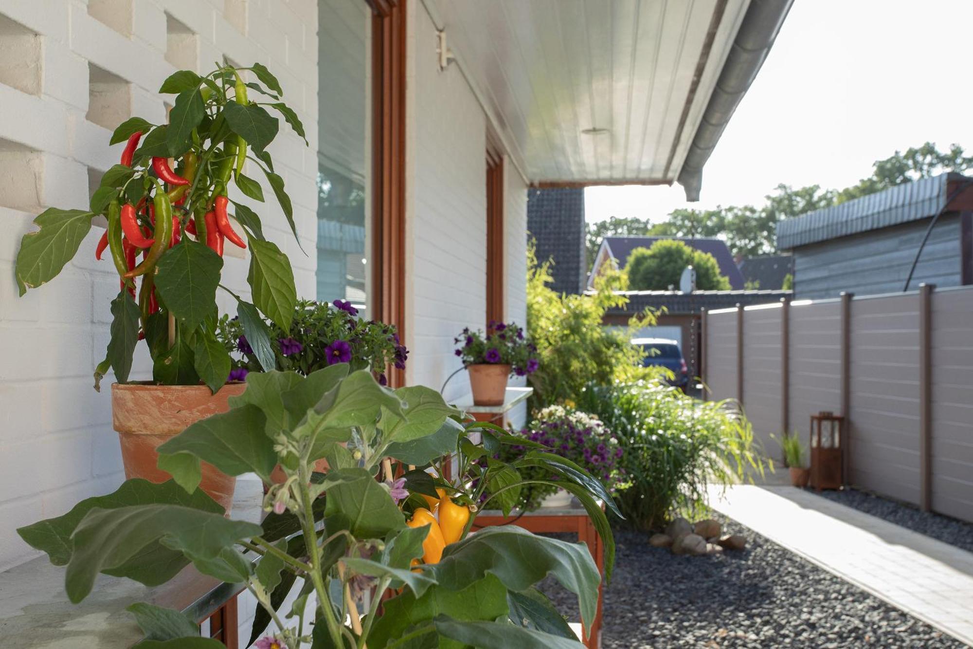Ferienwohnung Aurora Winsen  Exterior photo
